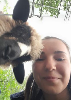 Picture of a woman smiling and a sheep, both looking at the camera