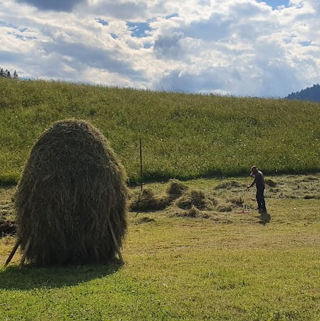 Picture of a man raking the hay