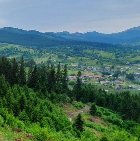 Landscape with hills, forest, and a village at the bootom of the hills